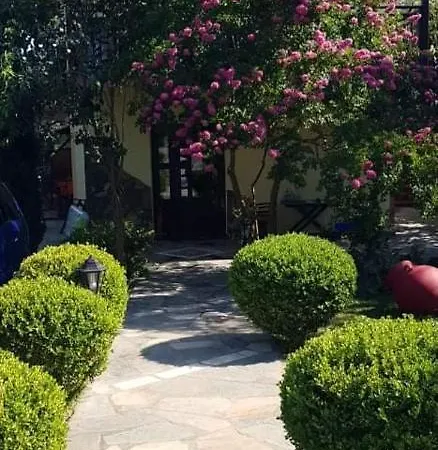 Maria Chrisi Ammoudia