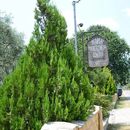 Maria כריסי אמודיה